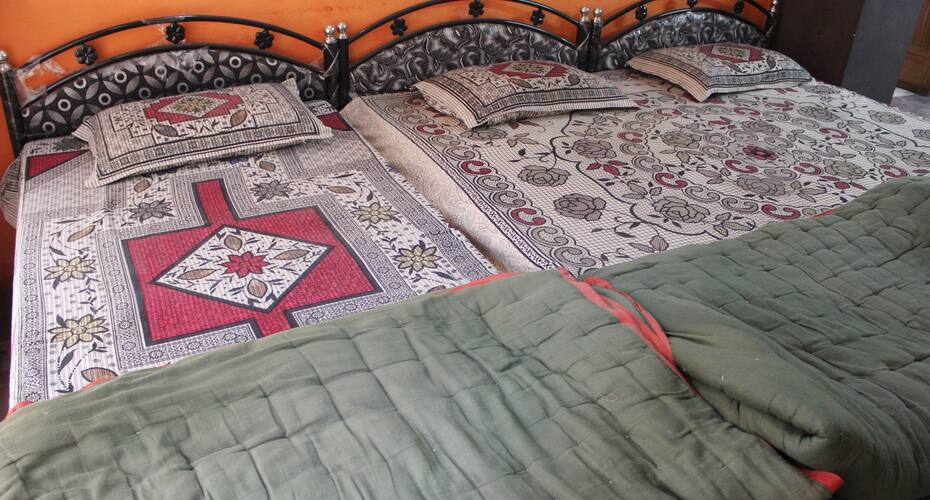 Hotel Shiv Shakti Palace, Udaipur 5